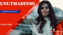 Şəbnəm Tovuzlu - Unutmadinmi  (Official Video)