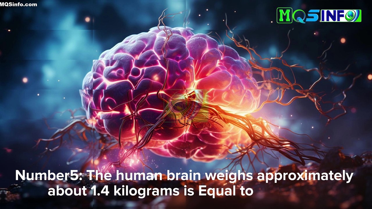 30 The Most Mind Blowing Facts About The Human Brain - Did You Know - Brain Facts #facts #brainfacts