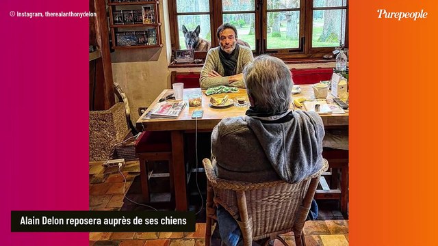 Alain Delon reposera auprès de ses chiens à Douchy, combien y sont enterrés ? Le chiffre est impressionnant