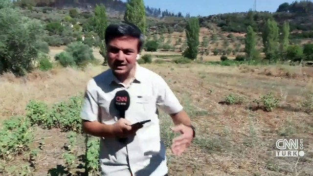Video Haber | Ormanlarda yangın tehlikesi henüz geçmiş değil