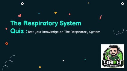 The Respiratory System Quiz
