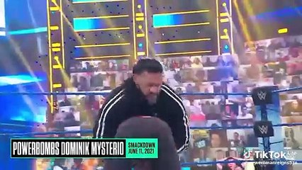 Big Fight between Romem Reins