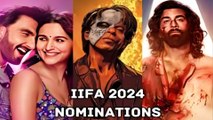 IIFA Awards 2024 Nominations - Catch The Entire List Of Nominees: Animal, 12th Fail, RRKPK & Jawan