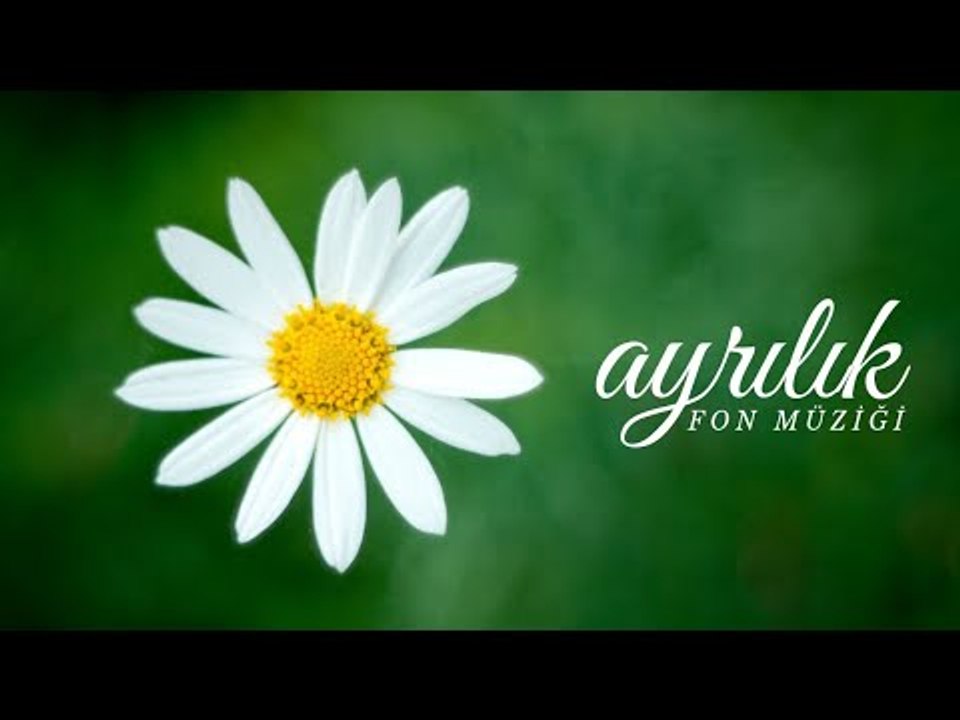 Ayrılık | Duygusal Fon Müziği ♫ ᴴᴰ
