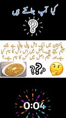 "Intriguing Urdu Riddles: A Collection of Classic