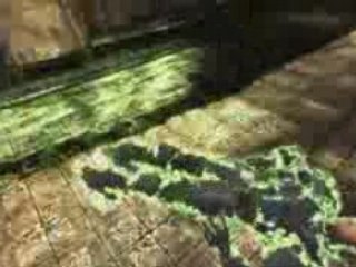 Unreal Tournament 3 - Trailer Gamer's Day - Xbox360