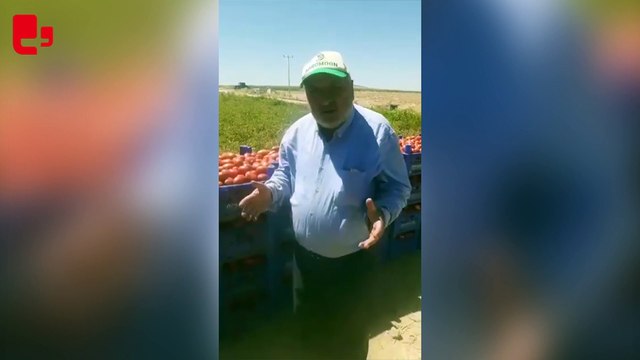 konyali_ciftciKonyalı çiftçi isyan etti: 'Ben koyu AKP'liyim, Allah benim belamı versin sana oy verdim'