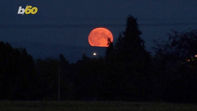 This Rare Blue SuperMoon Illuminates the Sky Above!