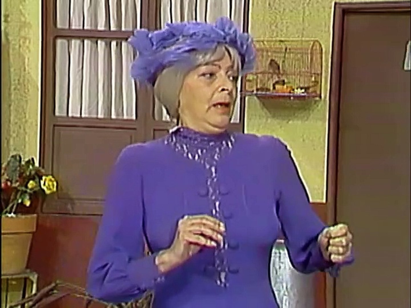 Chaves Nesta vila estão proibidos os animais e as crianças pequenas (Chaves foi mordido)