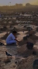 یا اللّہ ہم سب کے گناہوں کو معاف فرما ۔۔__