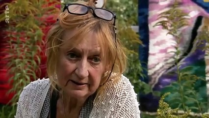 La souffrance des classes moyennes (2022) _ ARTE