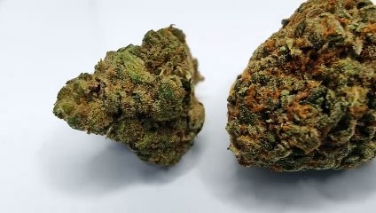 Vodis Innovative flower video 2