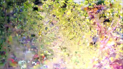 Elena Evsei Ruiu - Iubeste-ma, bade draga (Traditional TV - 19.05.2024)