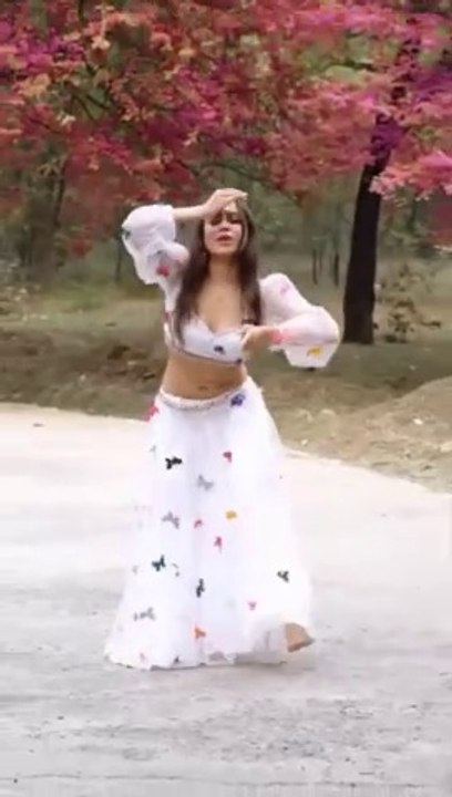 Chaudhary - Bellydance by Ojasvi Verma #bellydance #dance #ytshorts