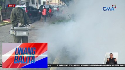 Download Video: Dengue outbreak sa bansa, balak nang ideklara ng DOH | Unang Balita