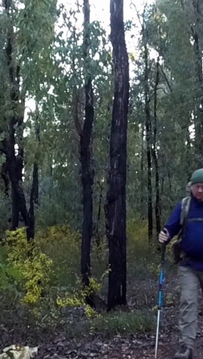 Cal To Col Twelve