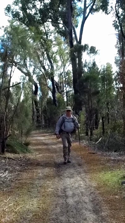 Cal To Col Seventeen