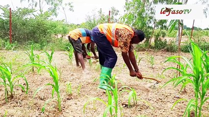 Vie de retraité : Jean Marie Mantou, l’heureux sexagénaire devenu fermier après 35 ans dans la fonction publique