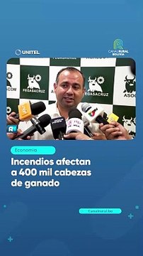 Incendios afectan a 400 mil cabezas de ganado