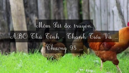 C96-C101 ABO Thú Tính - Thanh Tiểu Vũ