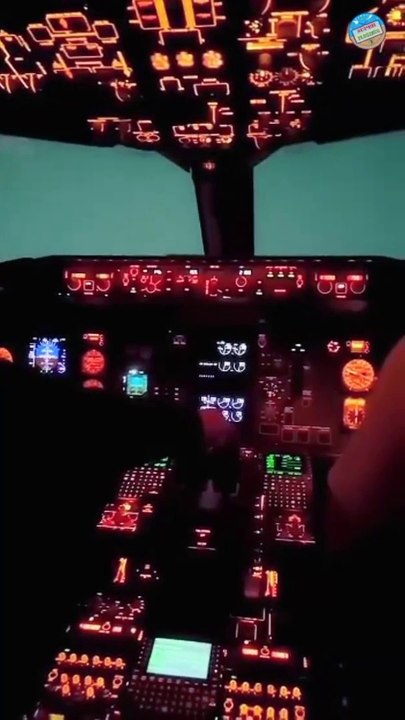 Cockpit View of a CAT III Blind Landing | Zero Visibility Landing #blindlanding #zerovisibility