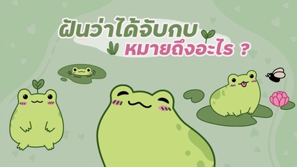 ฝันว่าได้จับกบ ทำนายฝัน พร้อมเลขเด็ดงวดนี้ กบจะนำโชคลาภมาให้จริงไหม ?