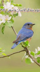 ماشاءاللہ #بہت خوبصورت وڈیو