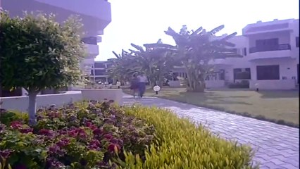 فيلم جواز عرفي نجوى فؤاد وفاء عامر