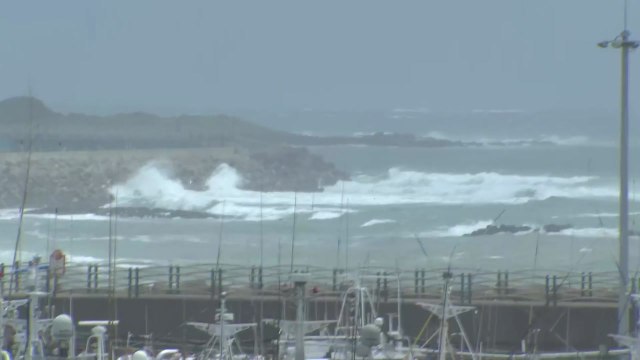 [날씨] 제9호 태풍 종다리 북상 중...제주도 태풍 특보 발령 / YTN