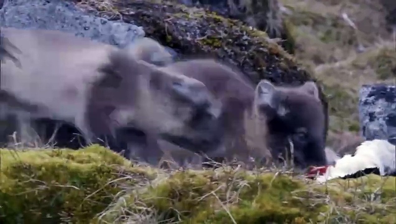 Nature's Great Events E01 - The Great Melt