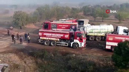 Orman yangını sonrası kahreden manzara