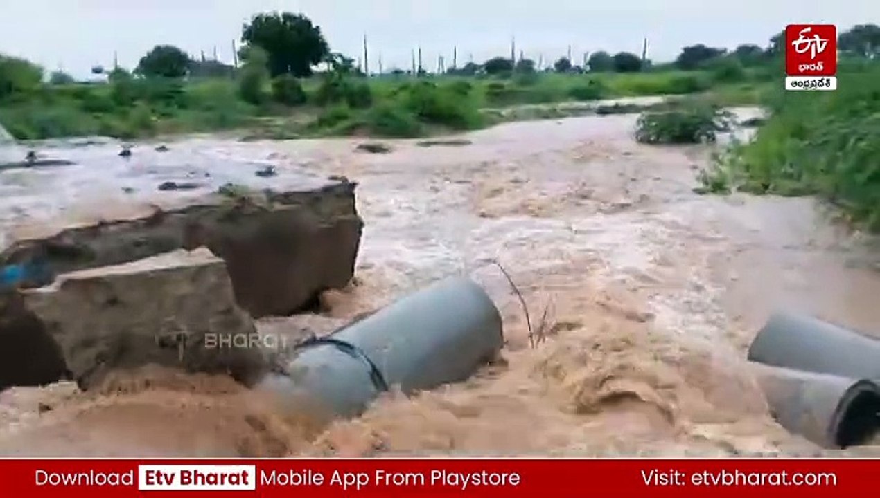 రాష్ట్రంలో దంచికొడుతున్న వర్షాలు