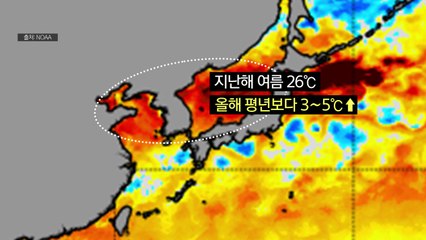 전 세계 해수면 온도 비상..."집중호우 더 세진다" / YTN