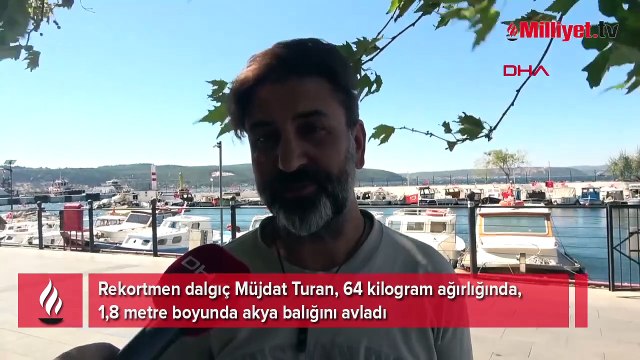 Zıpkınla 1,8 metre boyunda akya balığı avladı