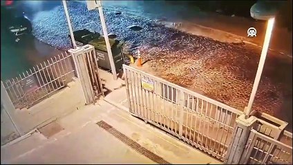 Fatih'te başıboş köpeklerin saldırısına uğrayan kişi hayatını kaybetti