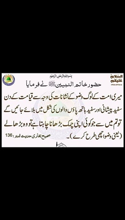 یعنی وضو اچھی طرح کیا کرو #trending#viral#shorts#islamic#follow#foryou#dailymotion#share