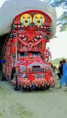 Brave Truck Driver_Pakistani Truck Art_viral shorts#uswahkhan