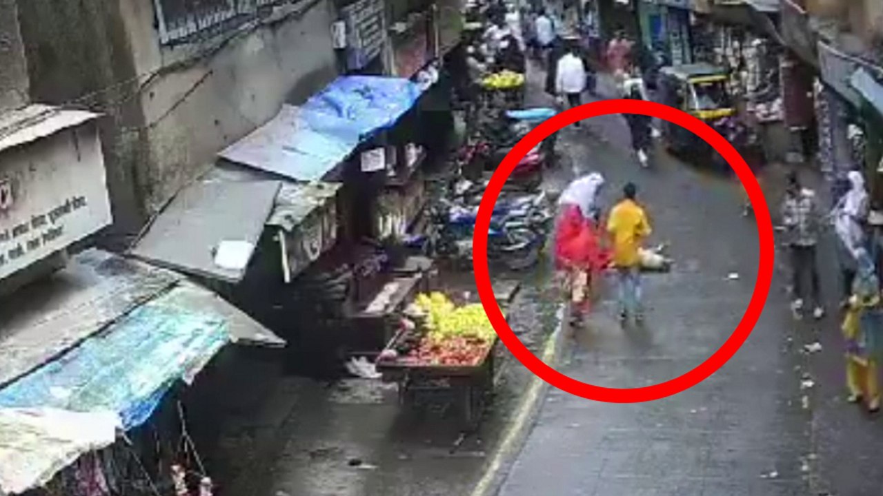 Mädchen stirbt, als Hund vom Balkon fiel und auf ihr landete