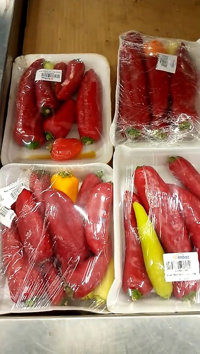 Chilli Everywhere