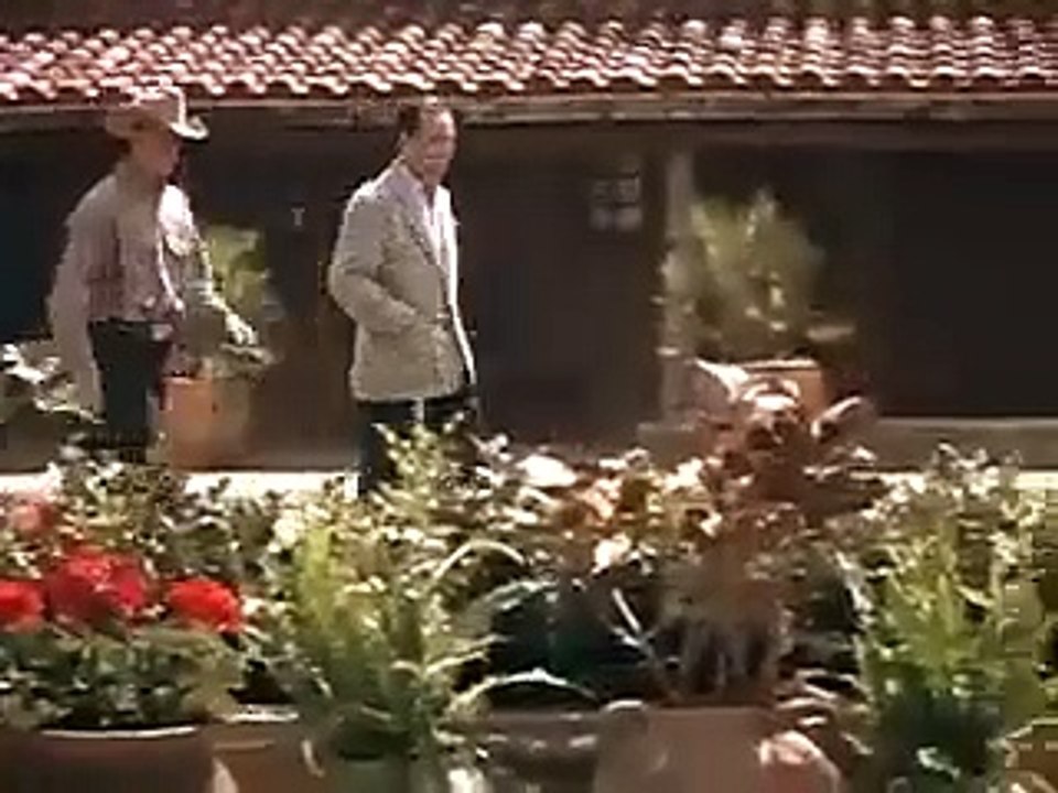 All die schönen Pferde Trailer OV