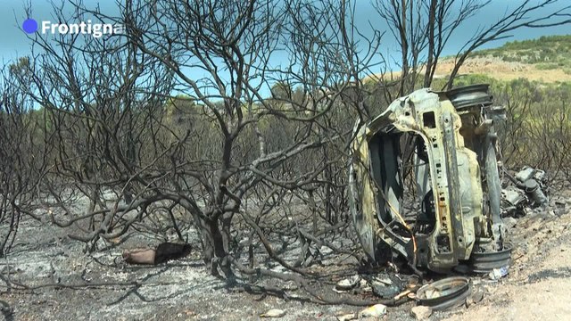 Incendies en France : feux maîtrisés dans l'Hérault et les Pyrénées-Orientales