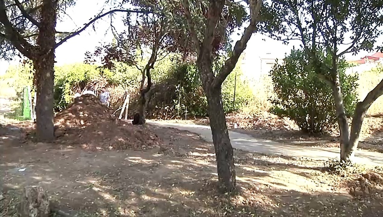 La Fuente del Oro rescata su ADN