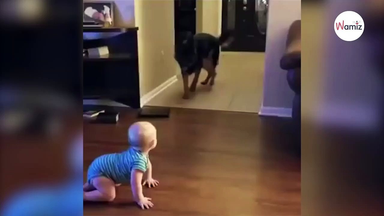 Schäferhund schleicht sich zum Baby: Was dann passiert, zaubert allen ein Lächeln ins Gesicht!