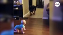 Schäferhund schleicht sich zum Baby: Was dann passiert, zaubert allen ein Lächeln ins Gesicht!