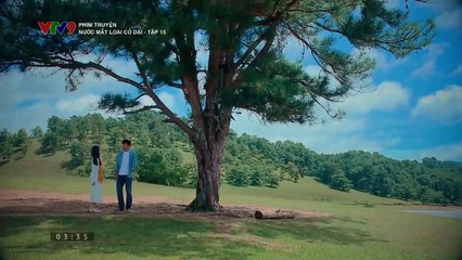 Phim truyện Nước mắt loài cỏ dại - Tập 15