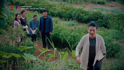 Phim truyện Nước mắt loài cỏ dại - Tập 19