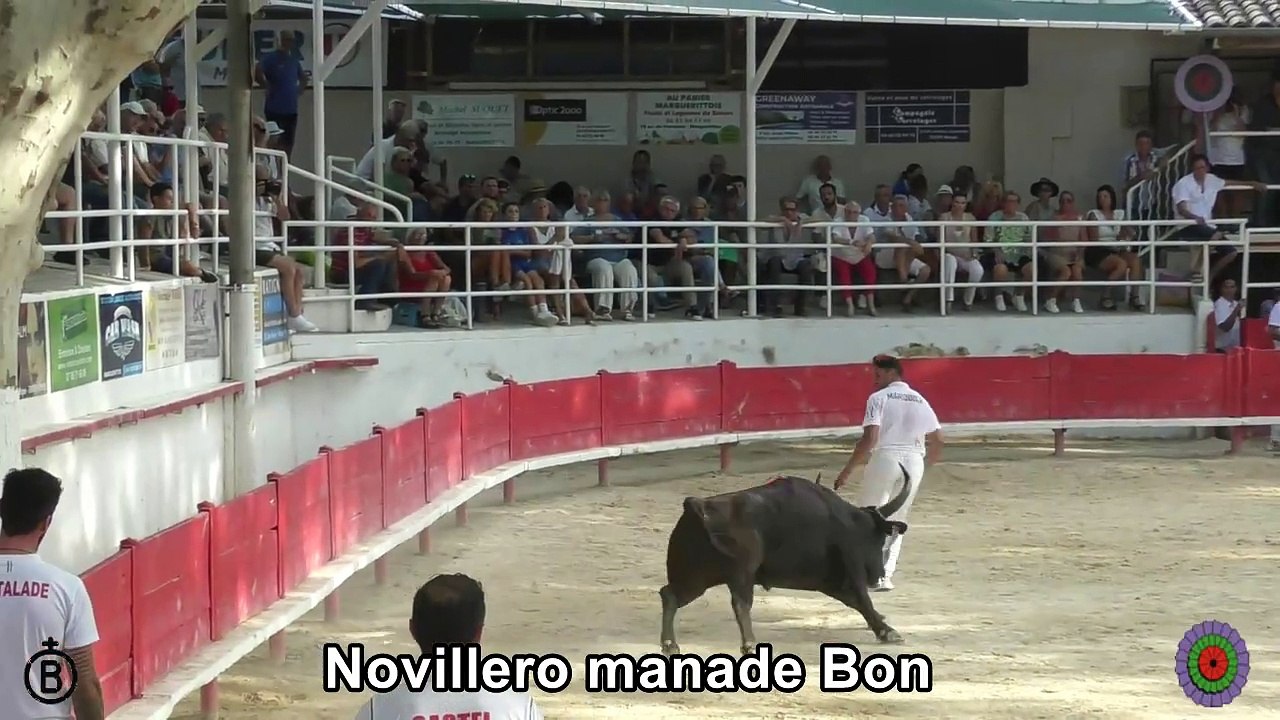 2024 07 30 6 Novillero
