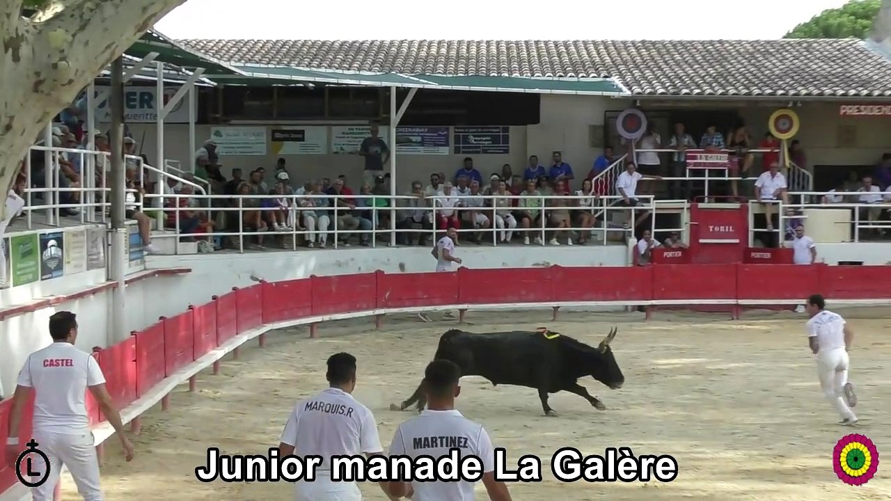 2024 08 30 5 Junior