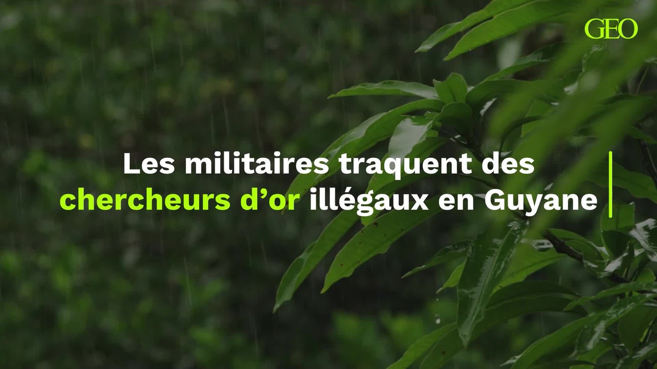 Les militaires traquent des chercheurs d’or illégaux en Guyane