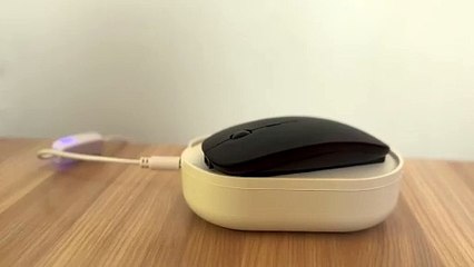 Découvrez la dernière vidéo illustrée par The Wall Street Journal 🎥